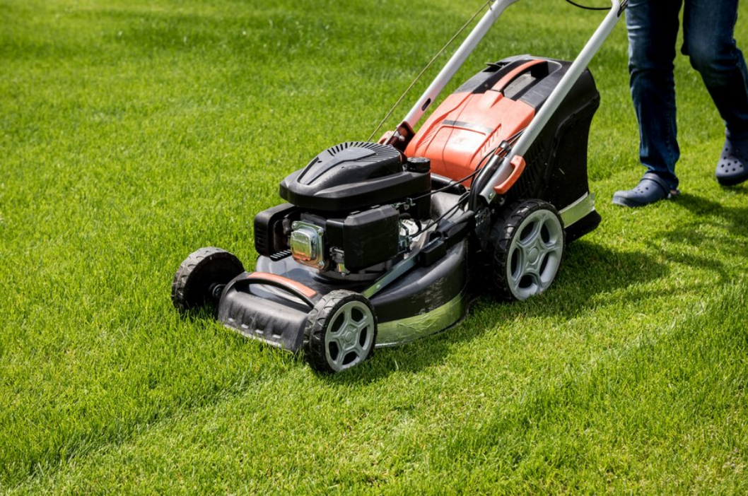 Grass Cutter Machine